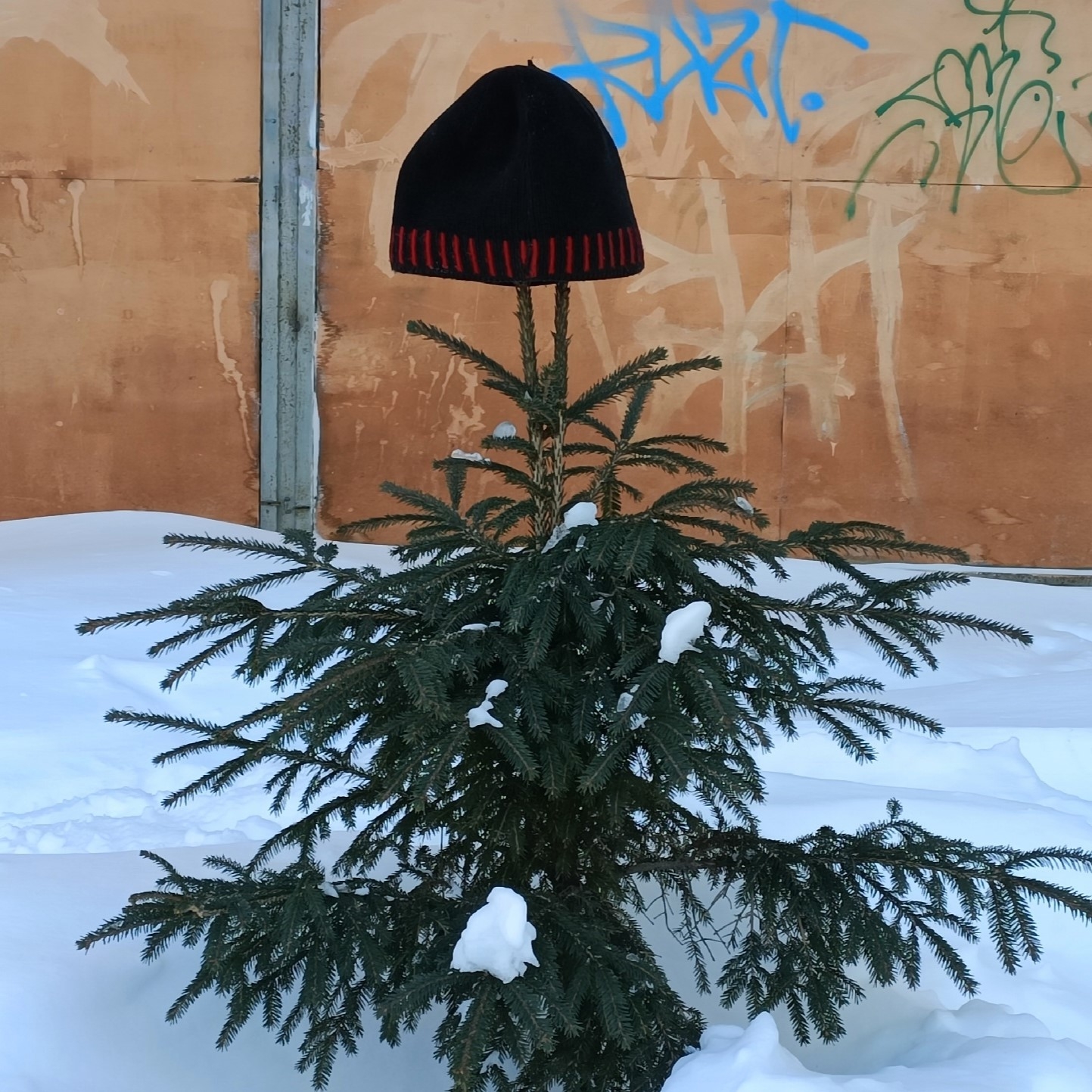 Новый знакомый жительницы Карелии показал жлобский характер, когда банк перекрыл поток денег в его карман