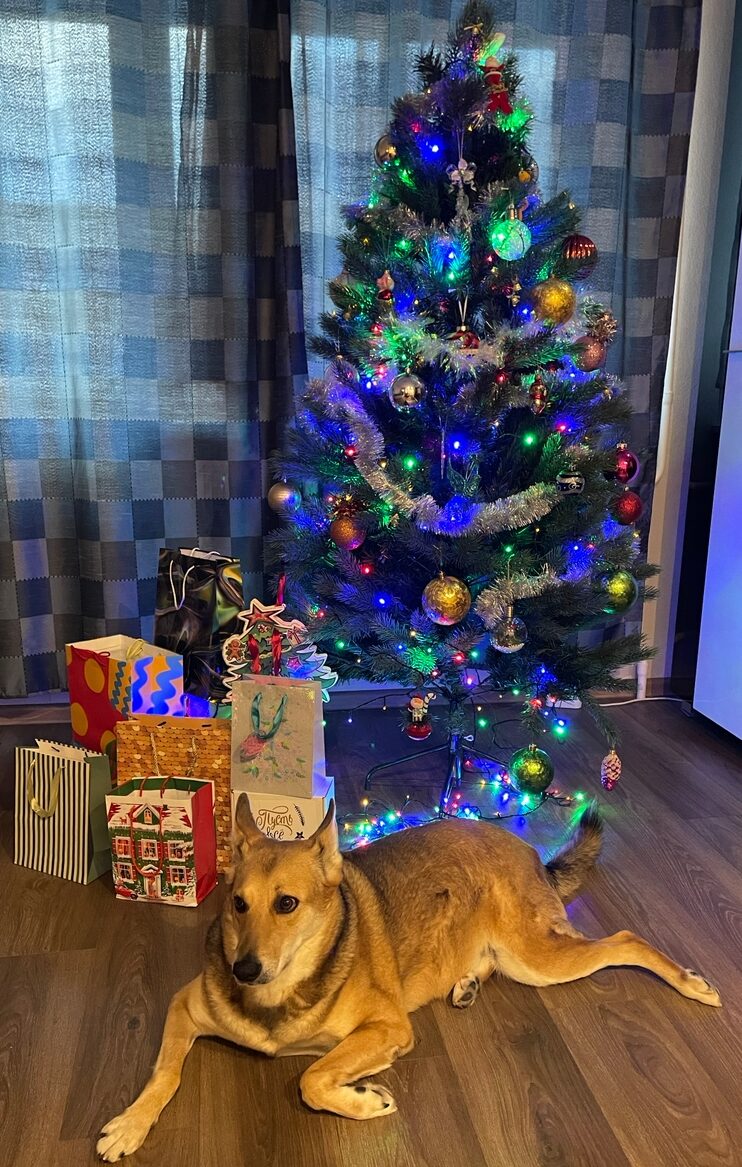 В Петрозаводске в 5,5 раз выросли продажи ёлочных украшений из СССР: узнали, что в тренде накануне Нового года