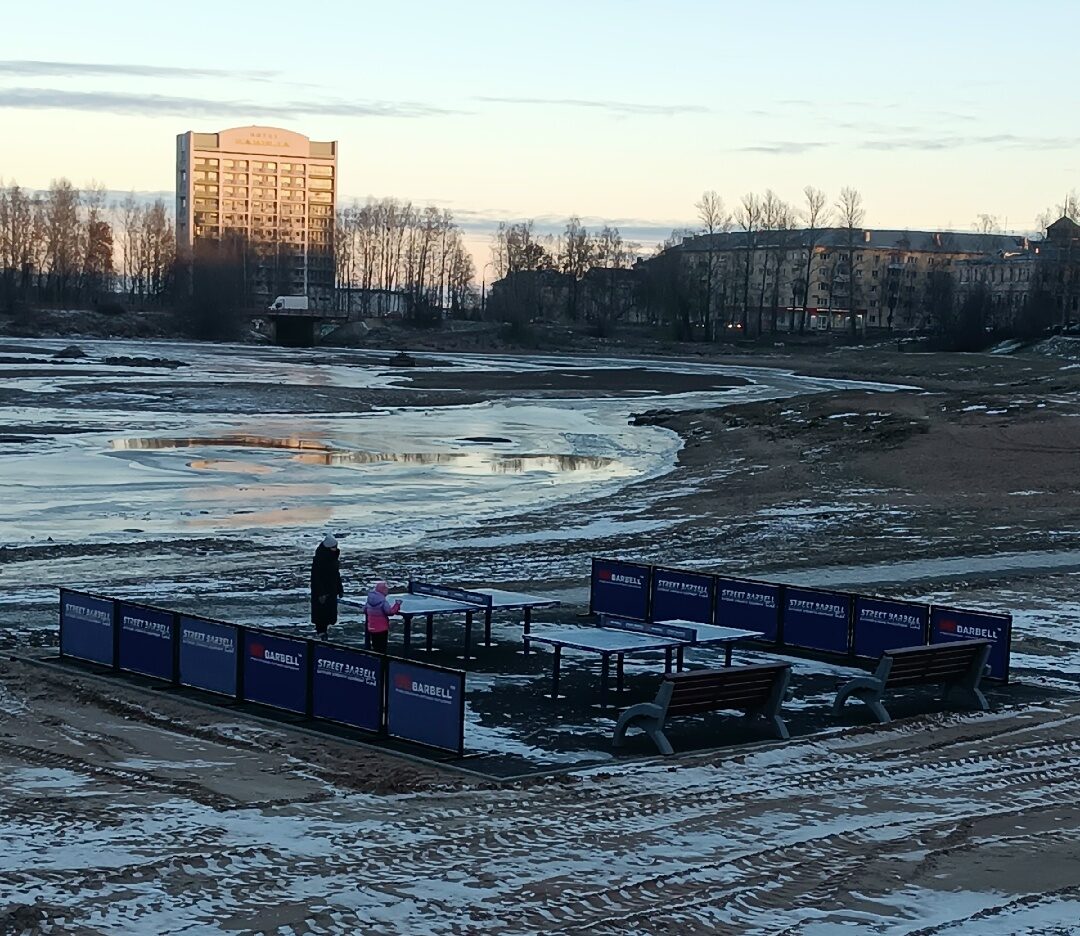 Экспансию жестких форм в природную среду заметили в Петрозаводске