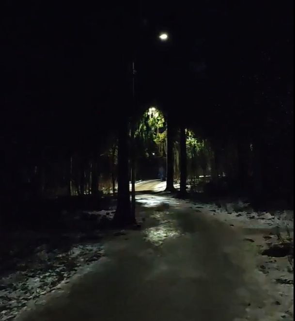 Глаз дёргается: горожанка рассказала о последствиях прогулок в популярном парке Петрозаводска