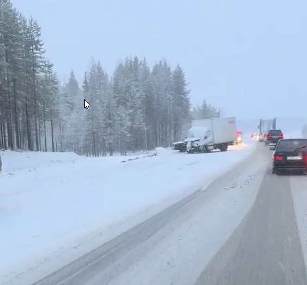 Пассажир легковушки погиб в лобовом ДТП на трассе в Карелии