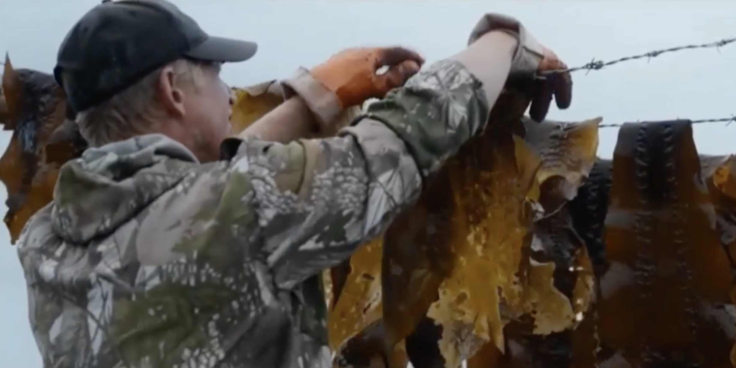 Тяжелый ручной труд драгировщиков: в сети опубликовали фильм о добытчиках «морского золота»