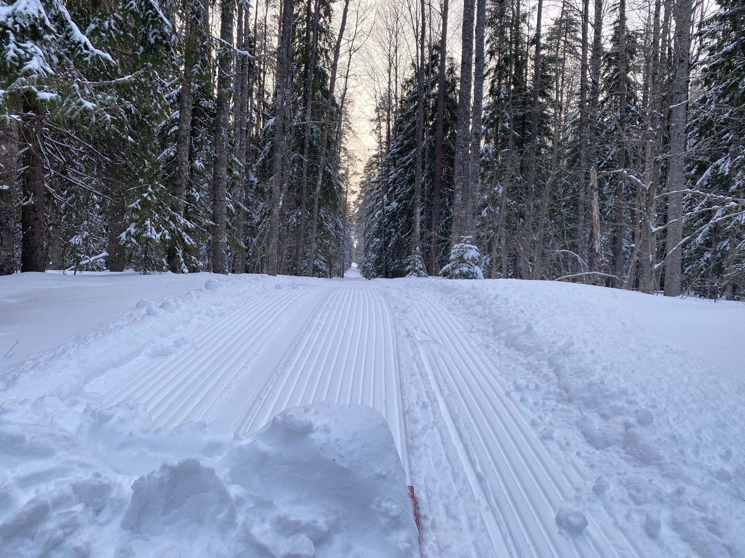 Традиционный фестиваль «Зимние фонтаны» стартует в Петрозаводске