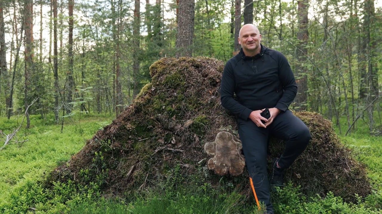 Наши сборщики заработали более 1 млрд рублей: директор «Ягод Карелии» об итогах сезона