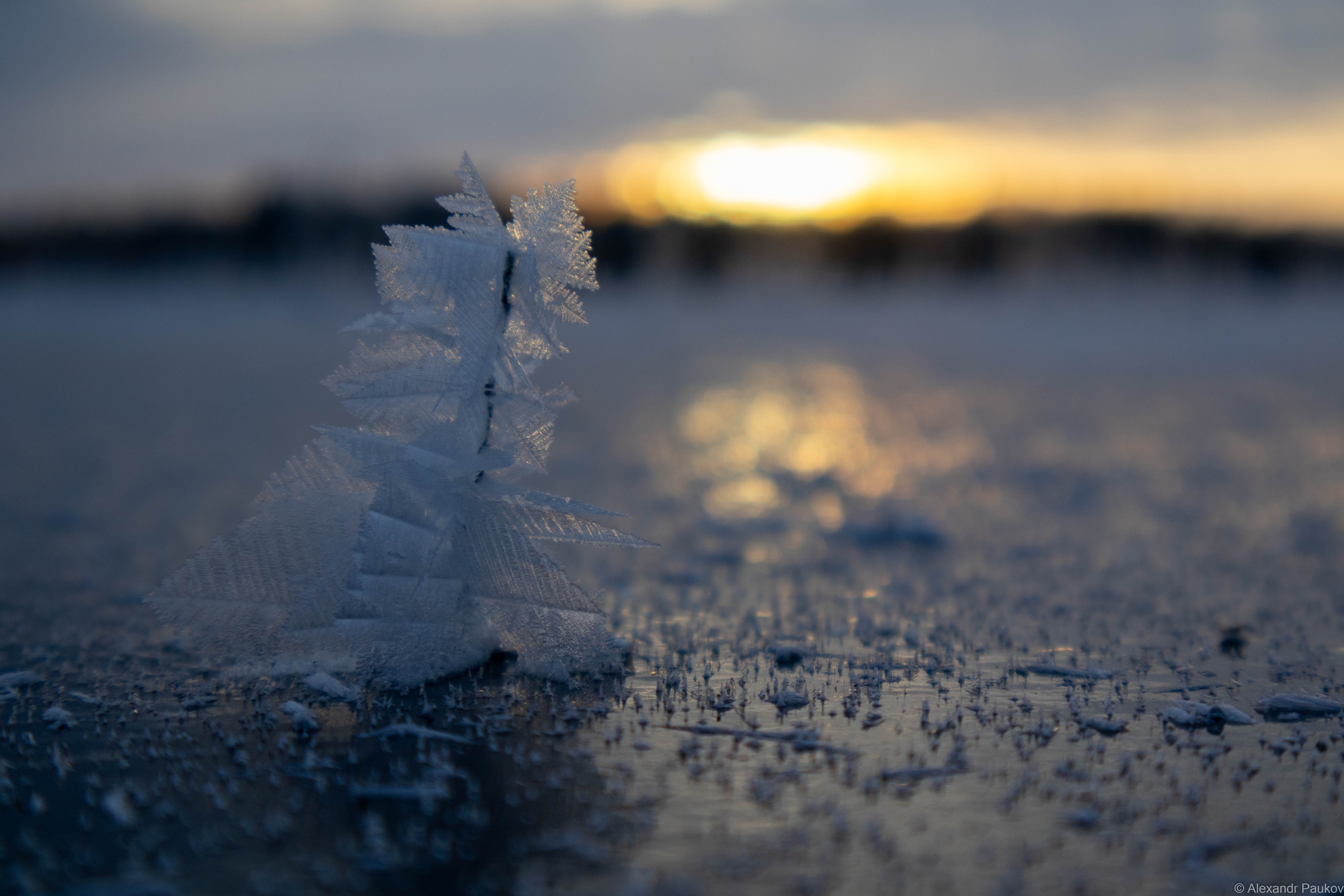 Морозы и снег идут в Карелию