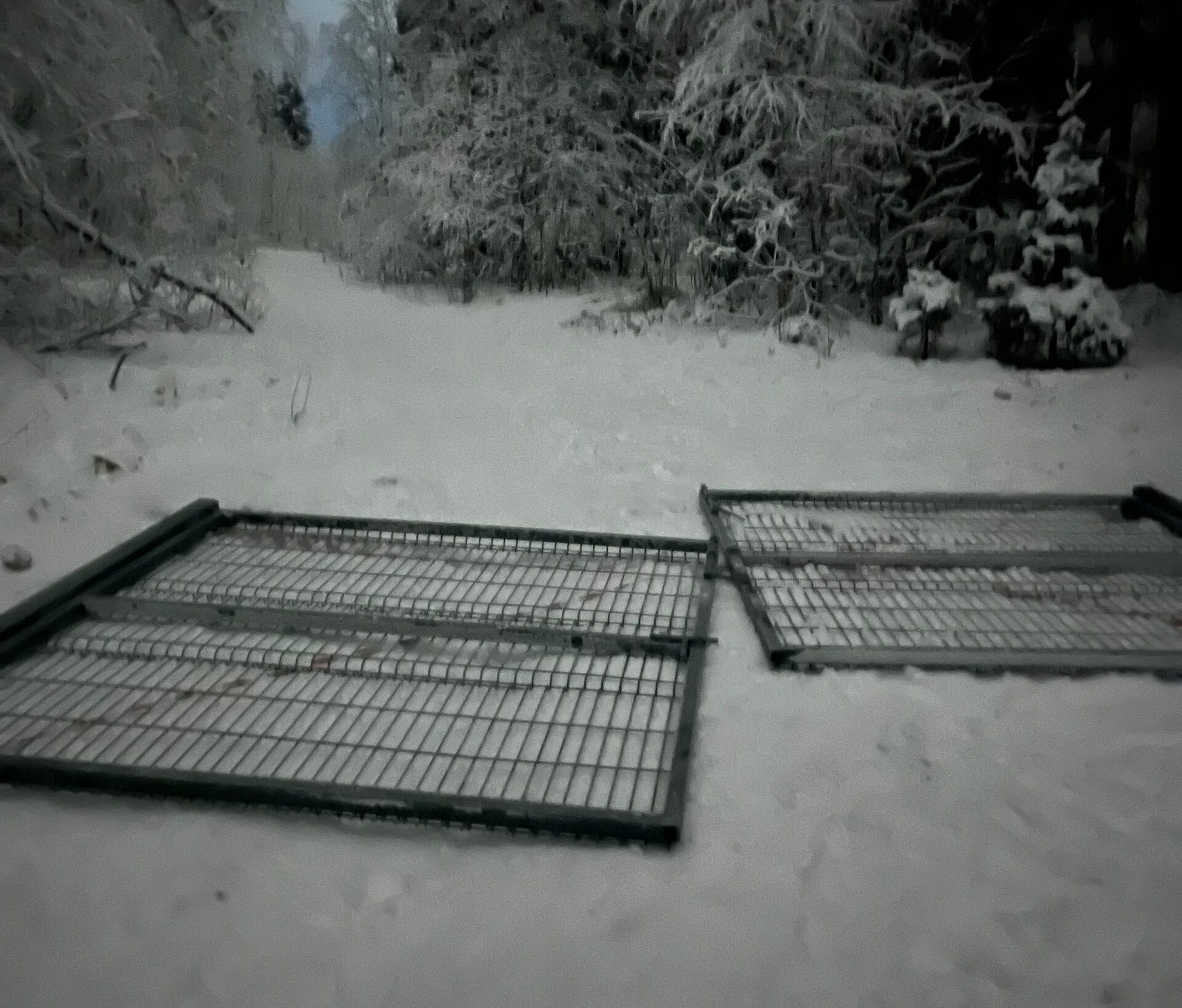 Вандалы спилили ограждения в лыжно-биатлонном комплексе Костомукши