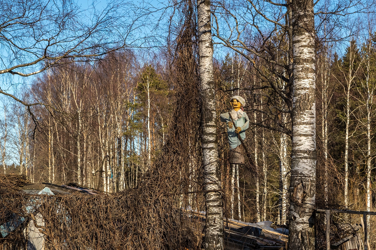 «Нежданно-негаданно-нечаянно»: карельский фотограф поймал в кадр Бабу Ягу