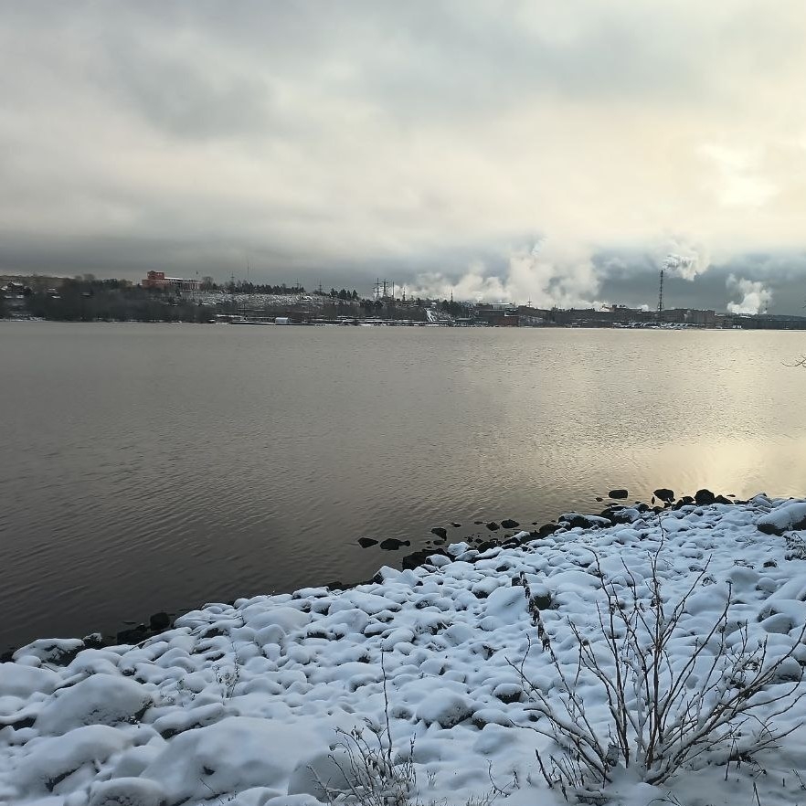 Жительница Кондопоги поверила лжеброкерам и лишилась огромной суммы денег