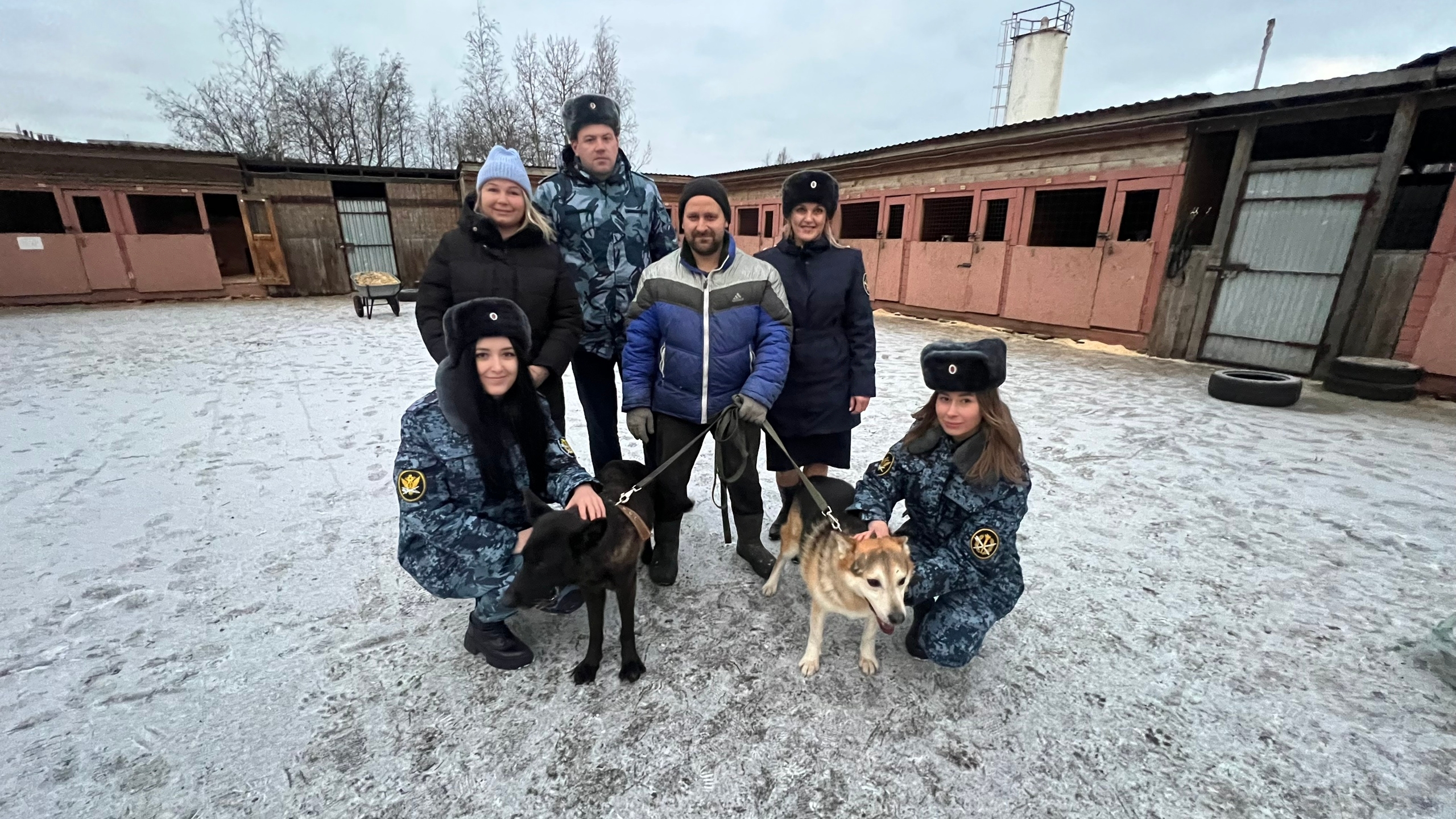 «Марафон добрых дел» для бездомных животных стартовал в УФСИН Карелии