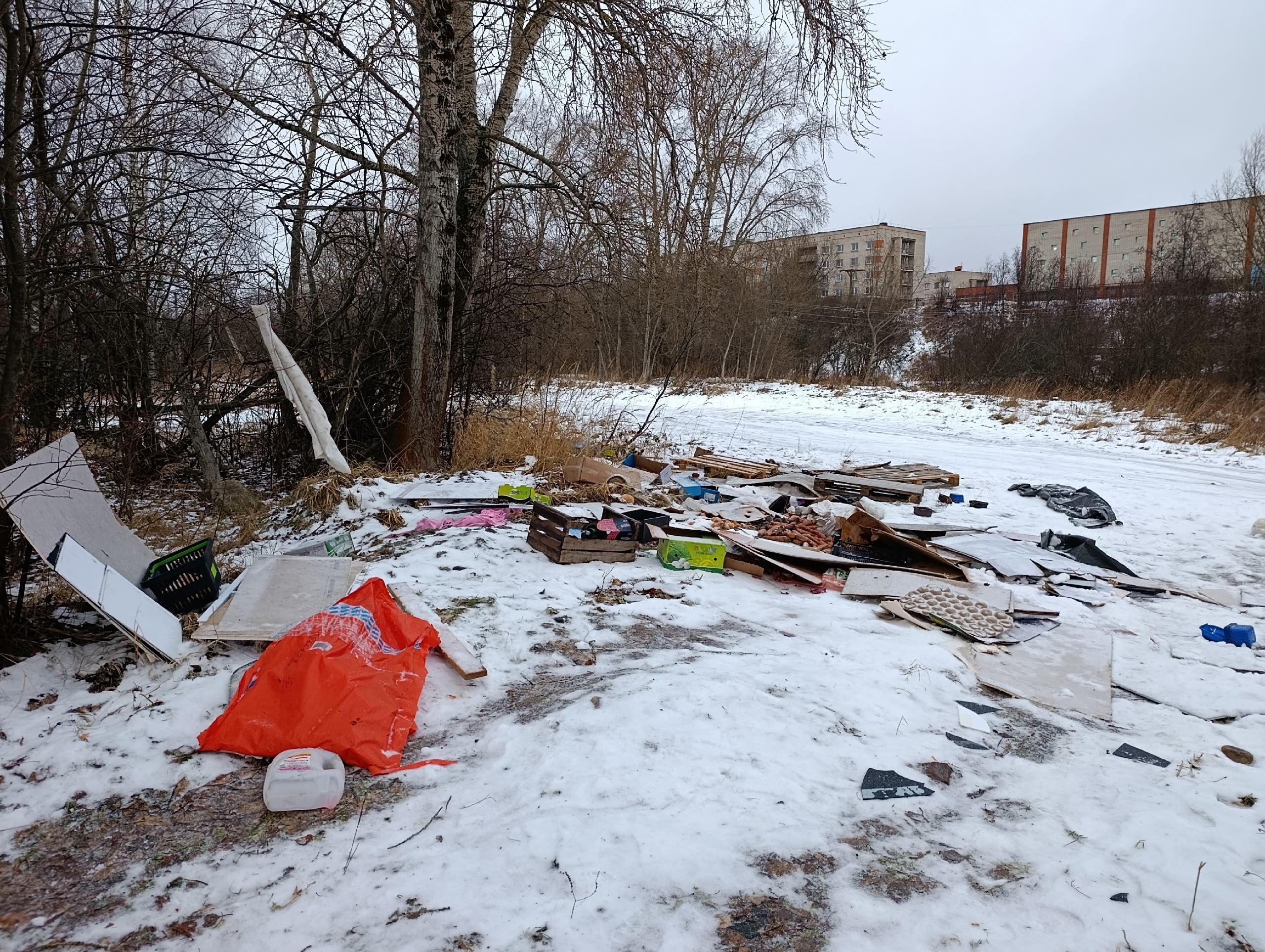 Жители Петрозаводска сообщают о стихийных свалках у стадиона «Локомотив»