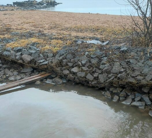 Подозрительные пятна на Онежском озере вновь обеспокоили жителей Петрозаводска