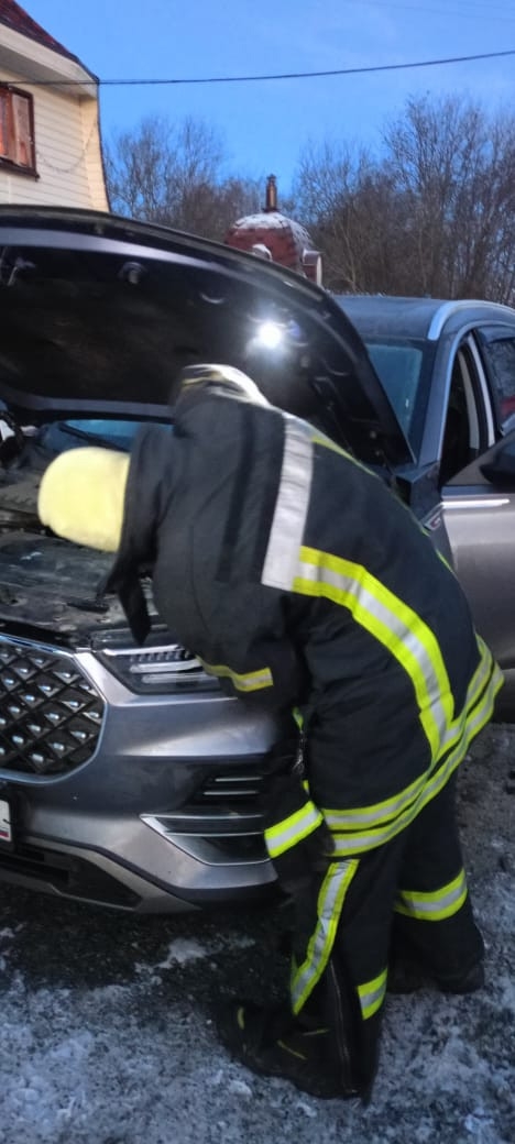 Пожарные Прионежья спасли кота из автомобильной ловушки, захлопнувшейся на всю ночь