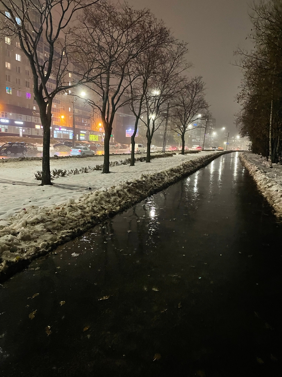 Зима откладывается 19 декабря в Карелии: день будет дождливым, дороги - скользкими