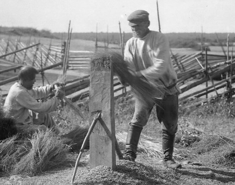 Уникальное орудие для обработки льна хранится в вепсском музее Карелии