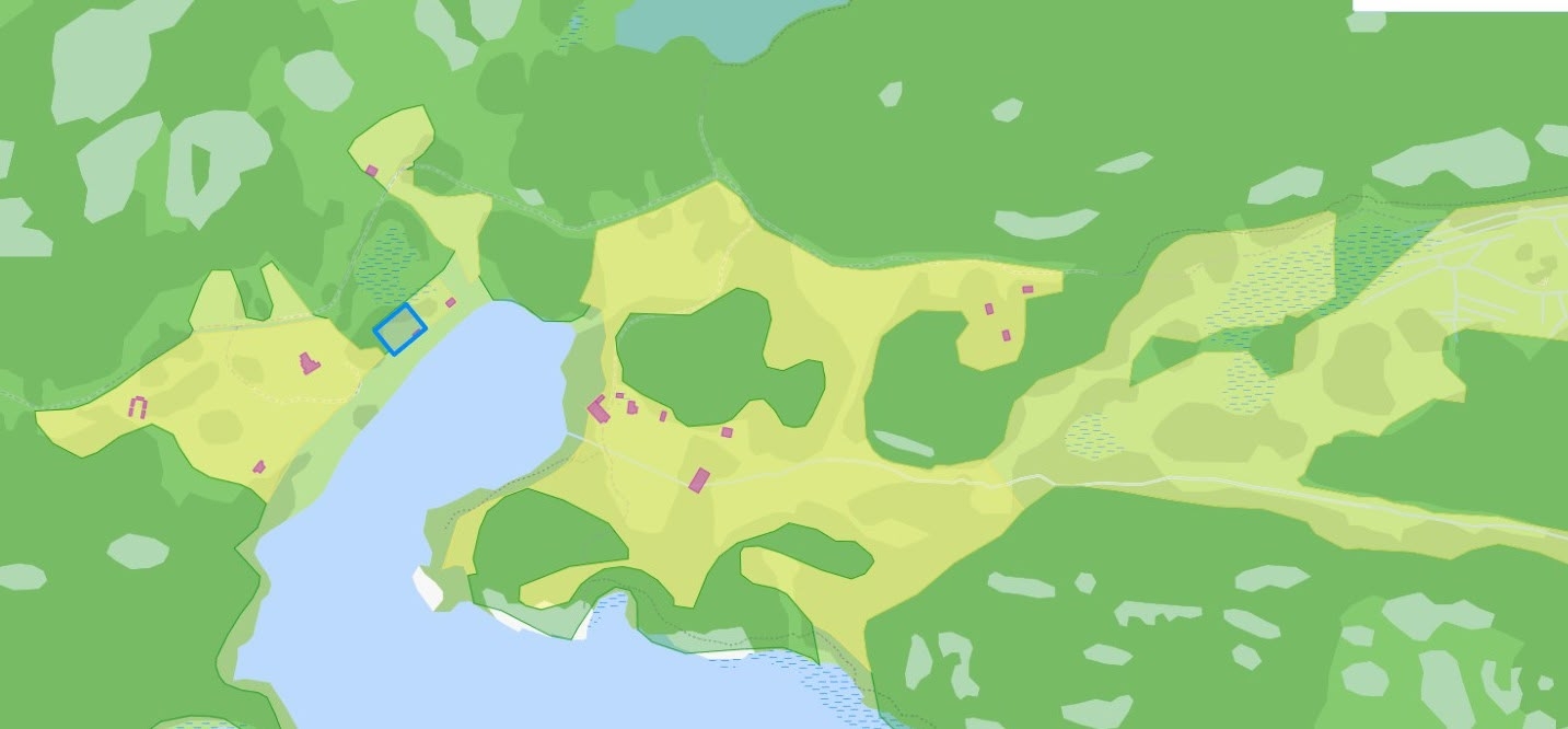 30 гектаров против 30 соток: судебный спор из-за дороги разгорелся на острове Кильпола в Карелии