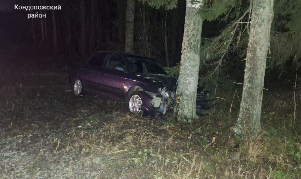 Дерево остановило иномарку с уснувшим за рулем водителем на трассе в Карелии