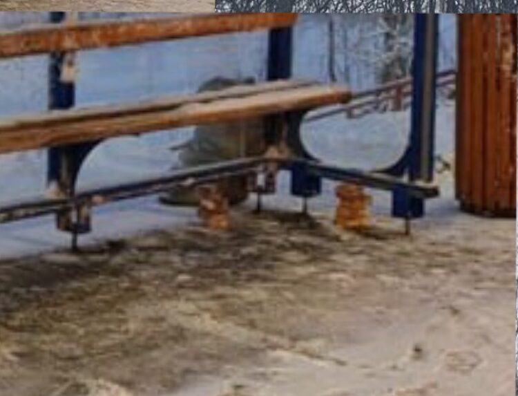 Парящую над землей остановку установили в городе рядом с Карелией