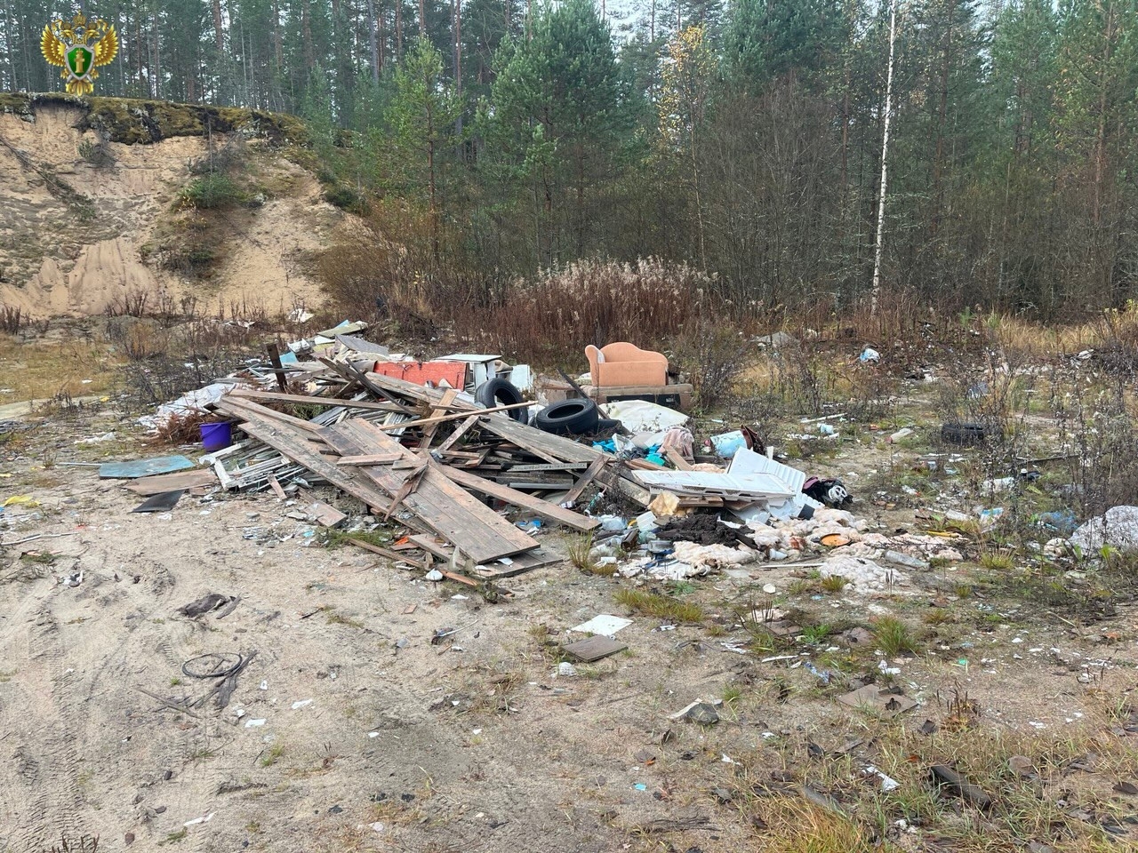 Прокуратура через суд потребовала от Минприроды Карелии ликвидировать свалку в лесу