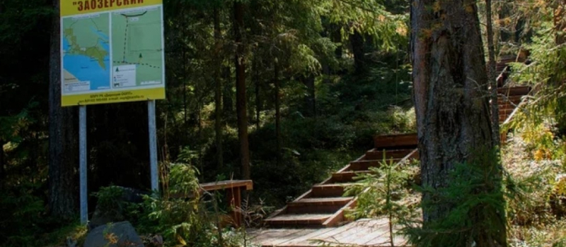 Экоактивисты требуют вернуть в планы Карелии создание новых заказников