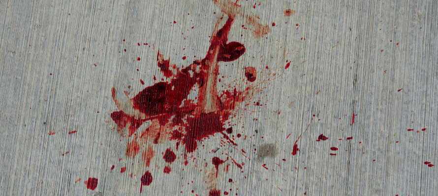 Кровавая трагедия случилась в одном из поселков Карелии: двое детей стали сиротами