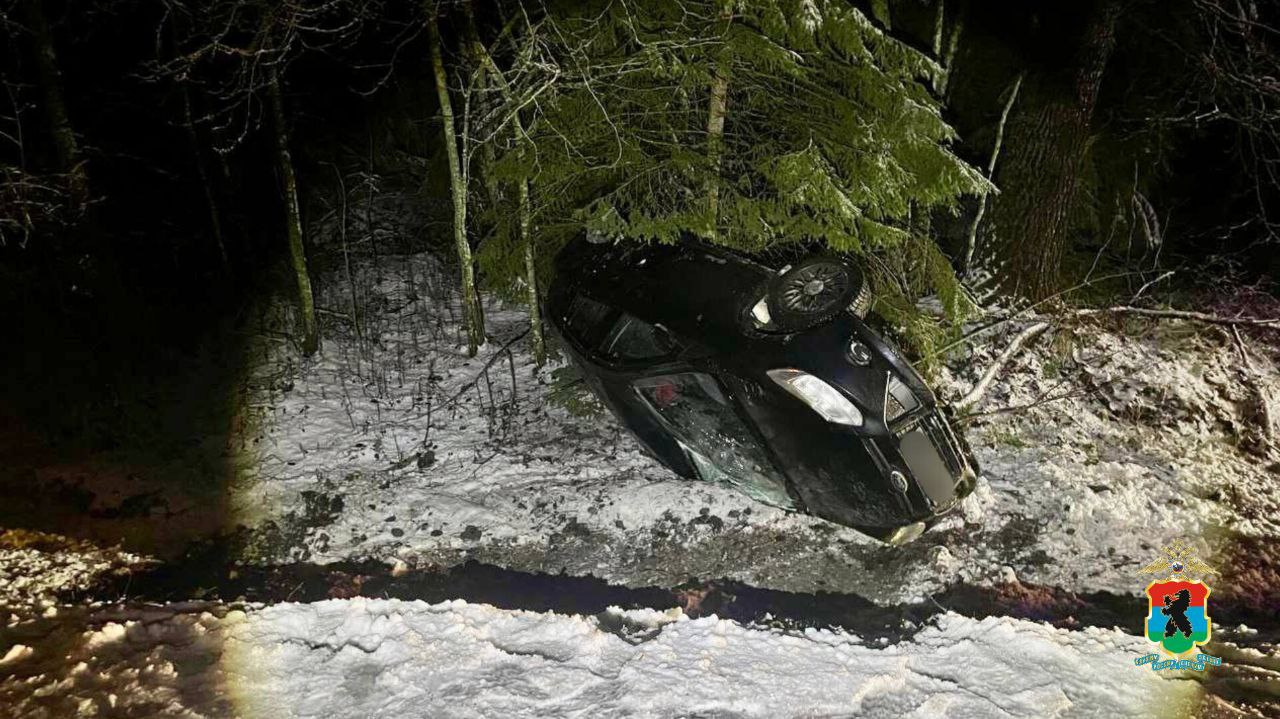 Водитель в темноте объезжала упавшее дерево: стало известно, как произошло ДТП под Медвежьегорском