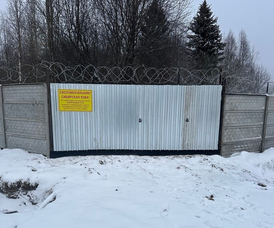 Сибиреязвенные скотомогильники оградили металлическими заборами в Карелии