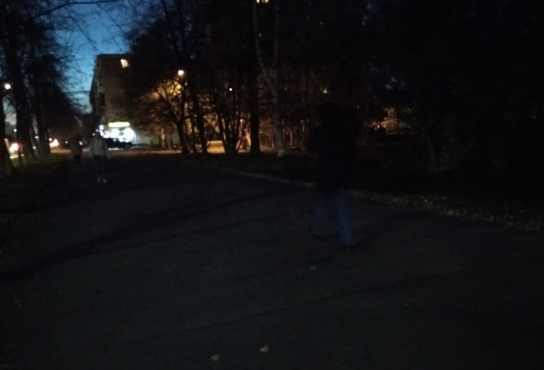Туристка пожаловалась на отсутствие уличного освещения на тротуарах Петрозаводска