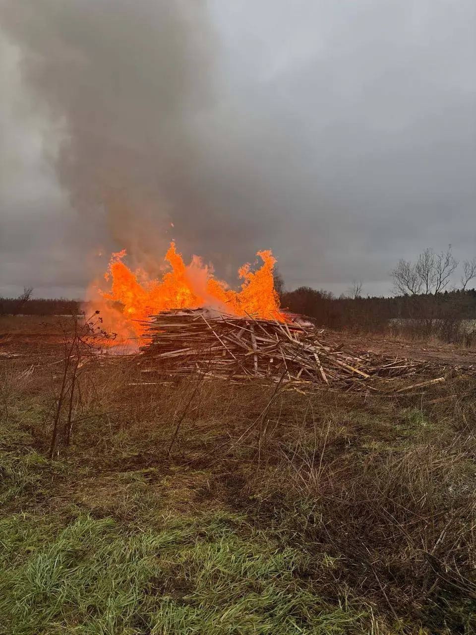 Свалка загорелась в Олонецком районе