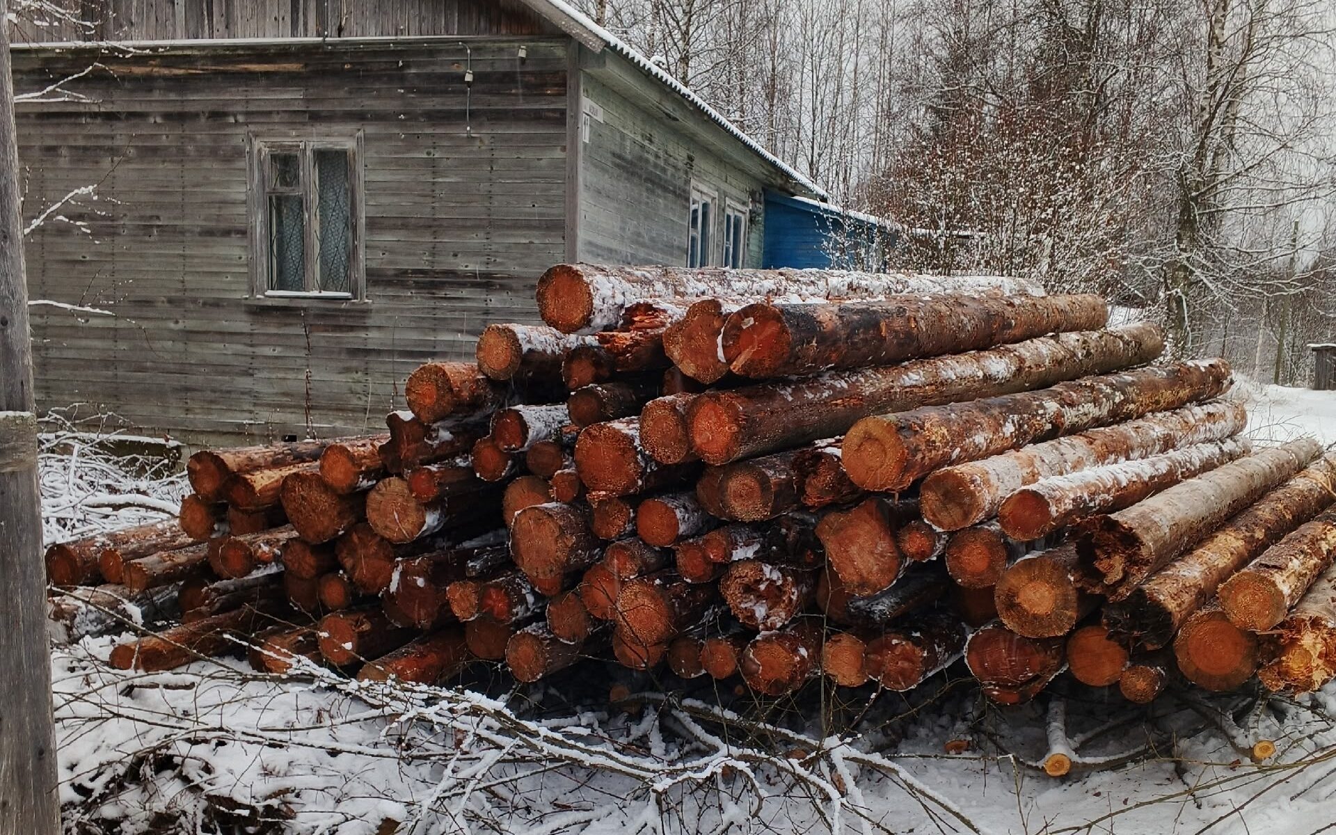 Карельские лесозаготовители снабдили общественников в поселке дровами