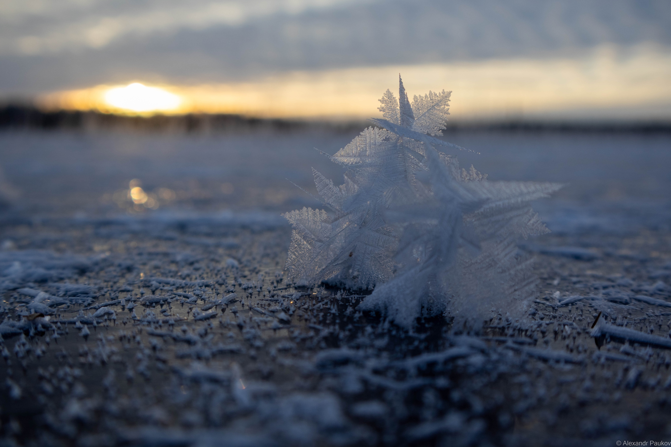 Наконец-то: зимняя стужа стремительно ворвется в Карелию - узнали, задержится ли на каникулы