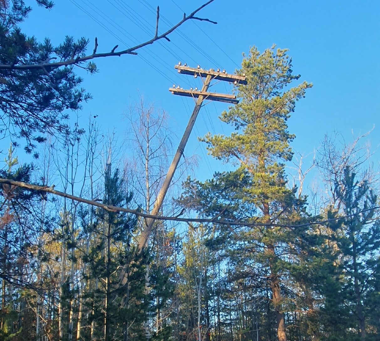 Столб повис на проводах и угрожает безопасности горожан в спальном районе Петрозаводска
