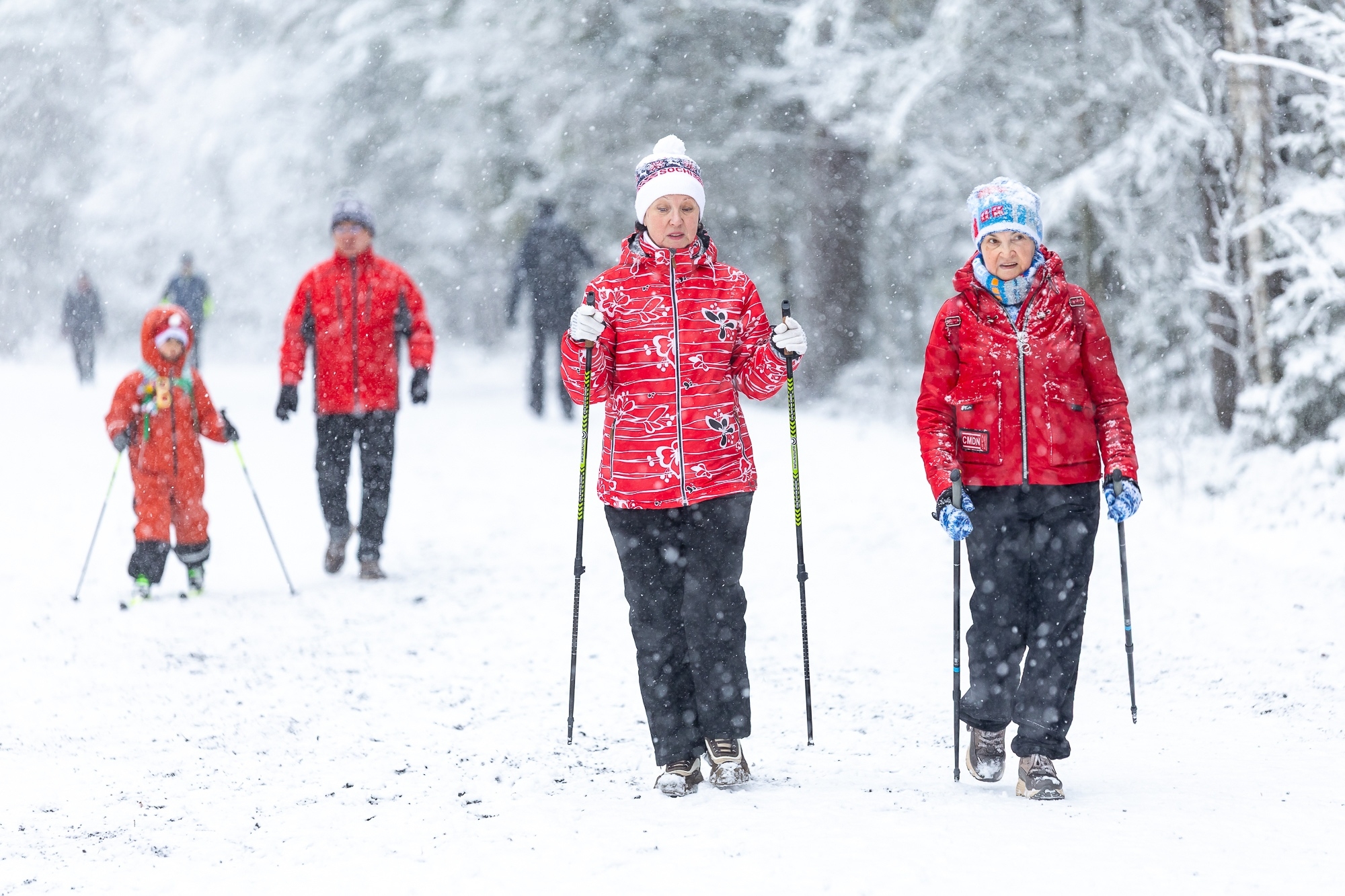 Традиционный фестиваль «Зимние фонтаны» стартовал в Петрозаводске