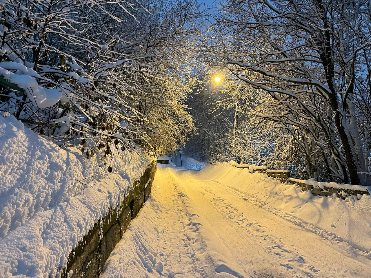 Срочно достаньте тулупы и валенки: в первый день нового года воздух в Карелии остынет до -26°С