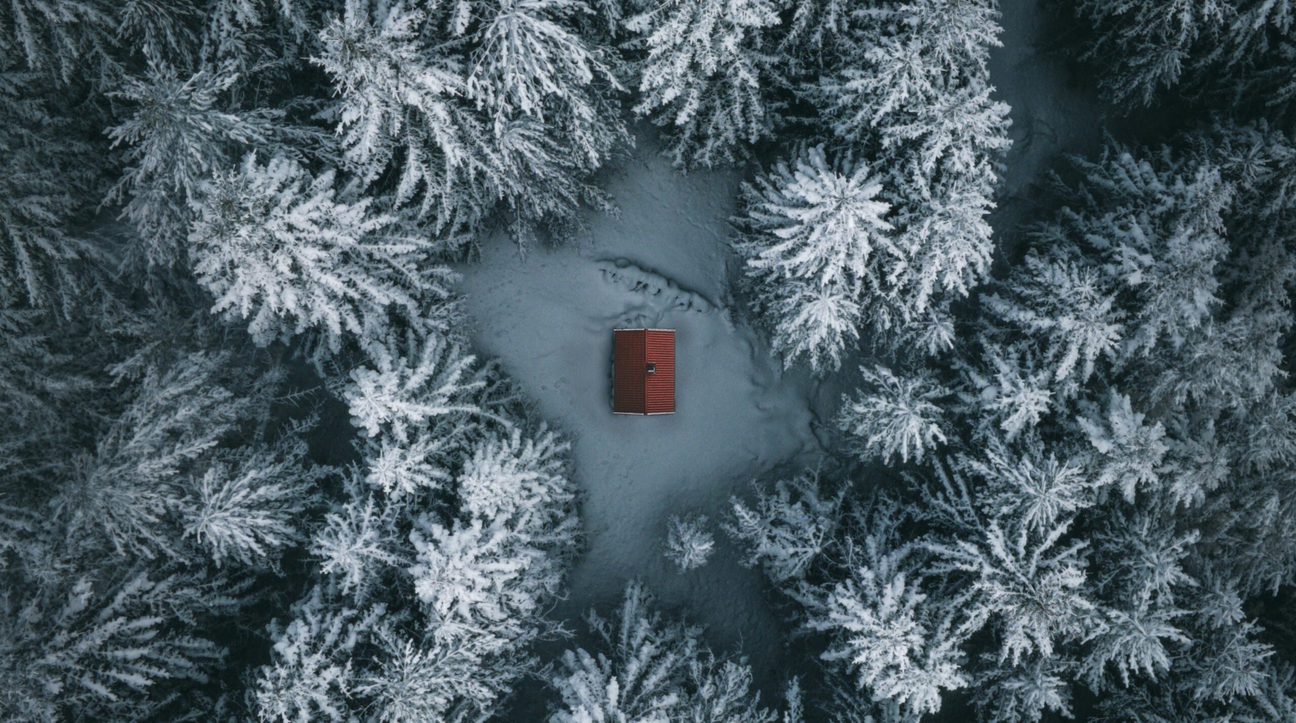 Карелия вошла в топ-5 направлений для аренды загородных домов на Новый год