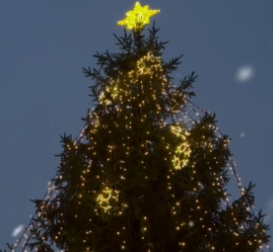 Новогоднюю ель установили рядом с Деревом дружбы