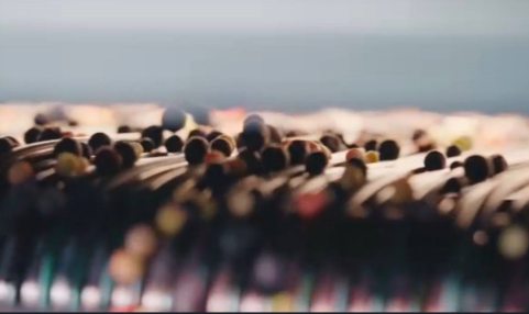 Знаменитое ток-шоу «Цивилизация» снимали на заводе «Ягоды Карелии»