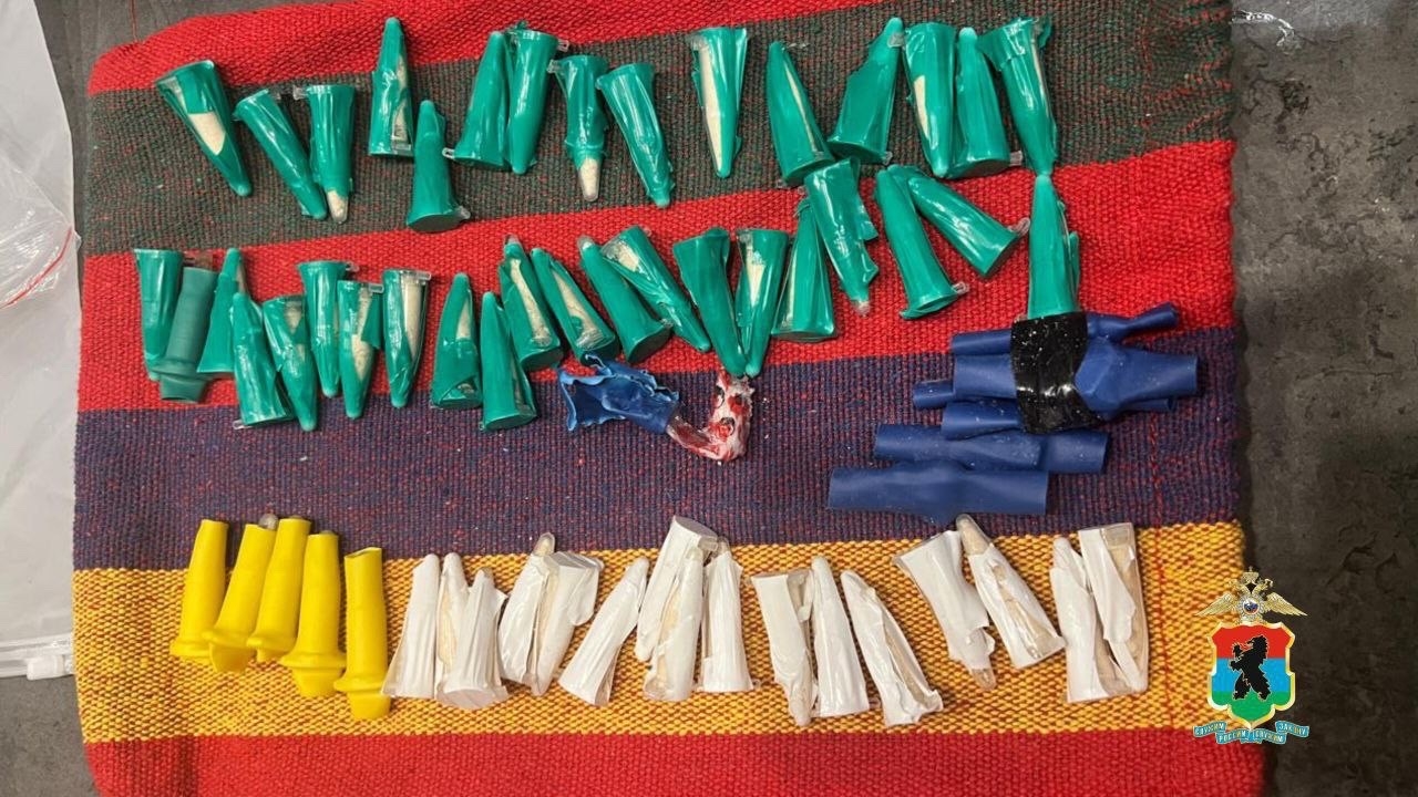 Полиция накрыла канал поставки наркотиков в Карелию