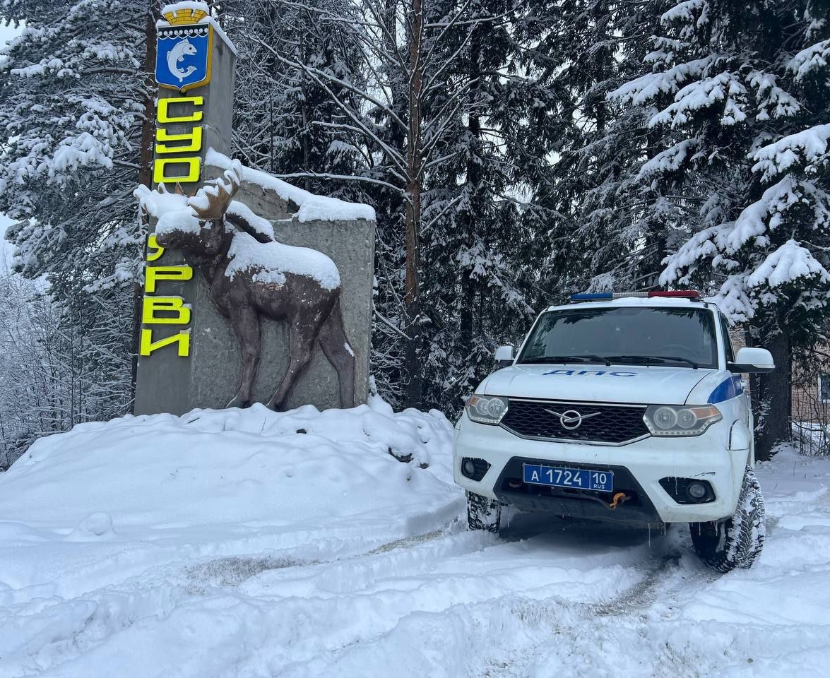 Заблудившегося охотника чуть не съели волки - с обморожением его спасли полицейские Суоярви