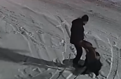 Живодер жестоко избил своего питомца в Петрозаводске