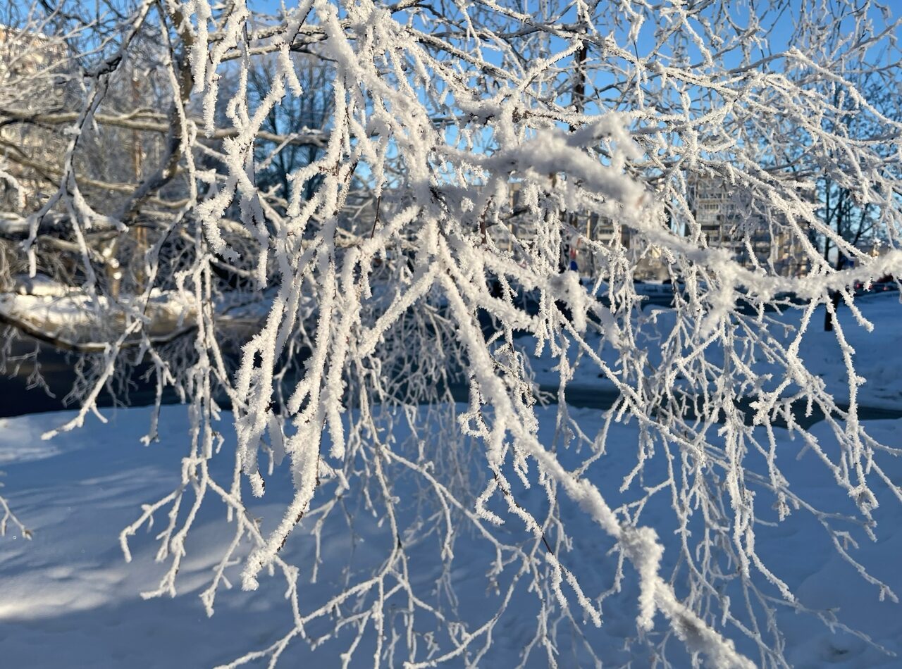 Аномальные морозы привели к ледяной изморози до 5 сантиметров: опасная погода накрыла Карелию