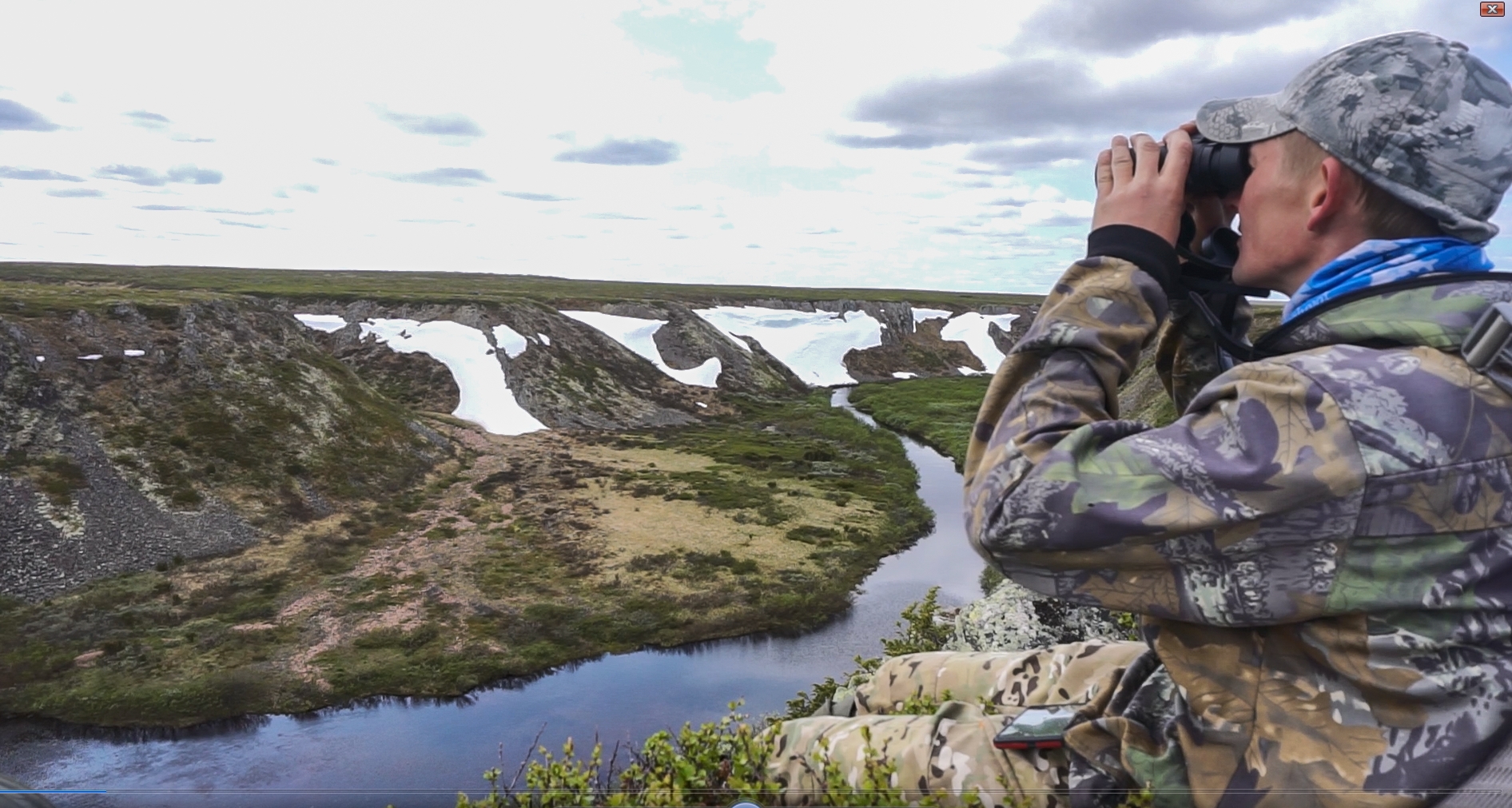 Карельские ученые с трудом поймали в кадр песцов на Кольском полуострове: популяция на грани исчезновения