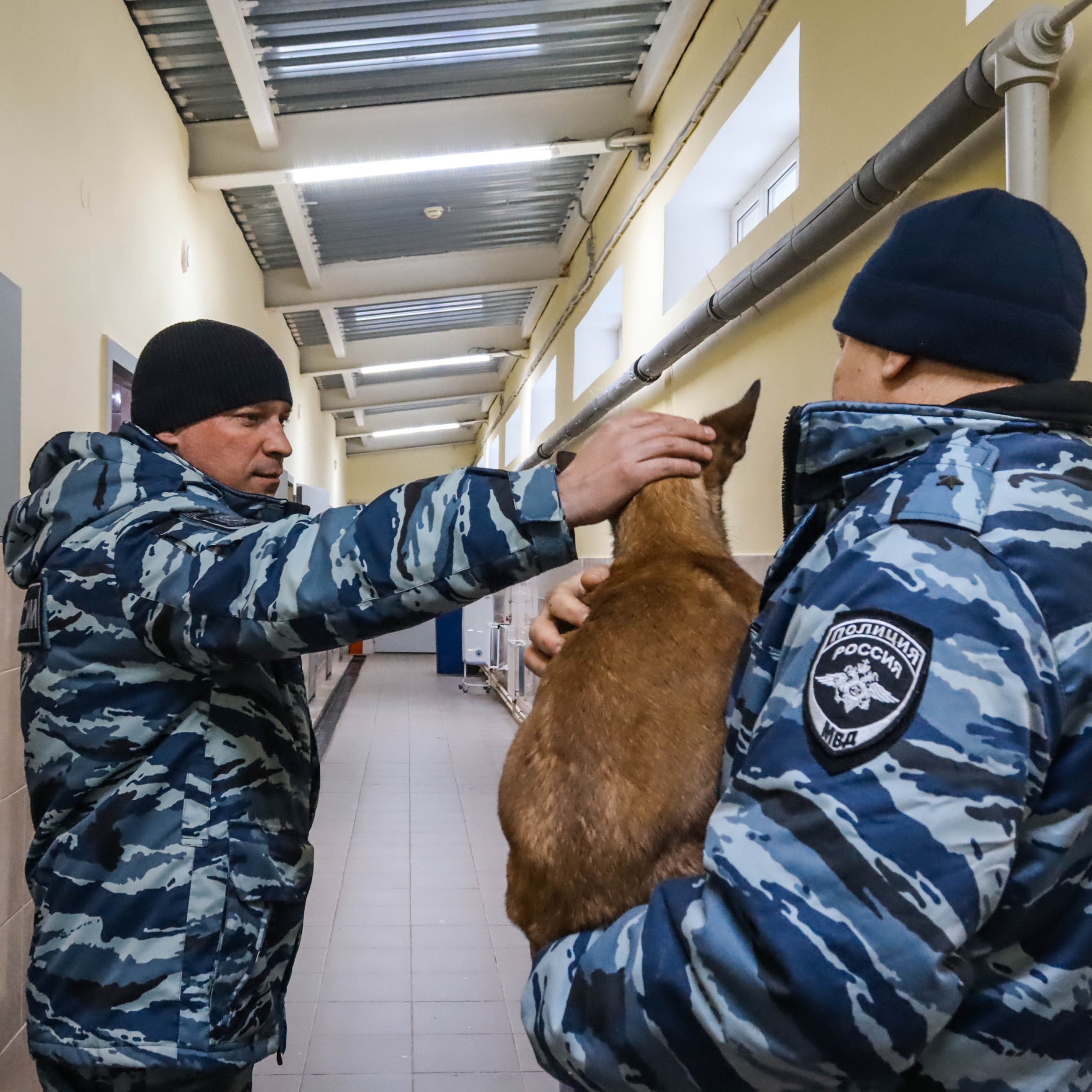 Карельские полицейские передали двух щенков коллегам из ДНР