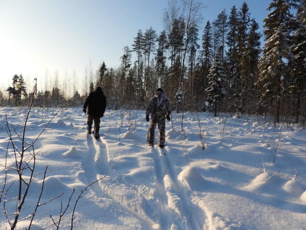 Данные зимнего учета определят будущие лимиты на охоту