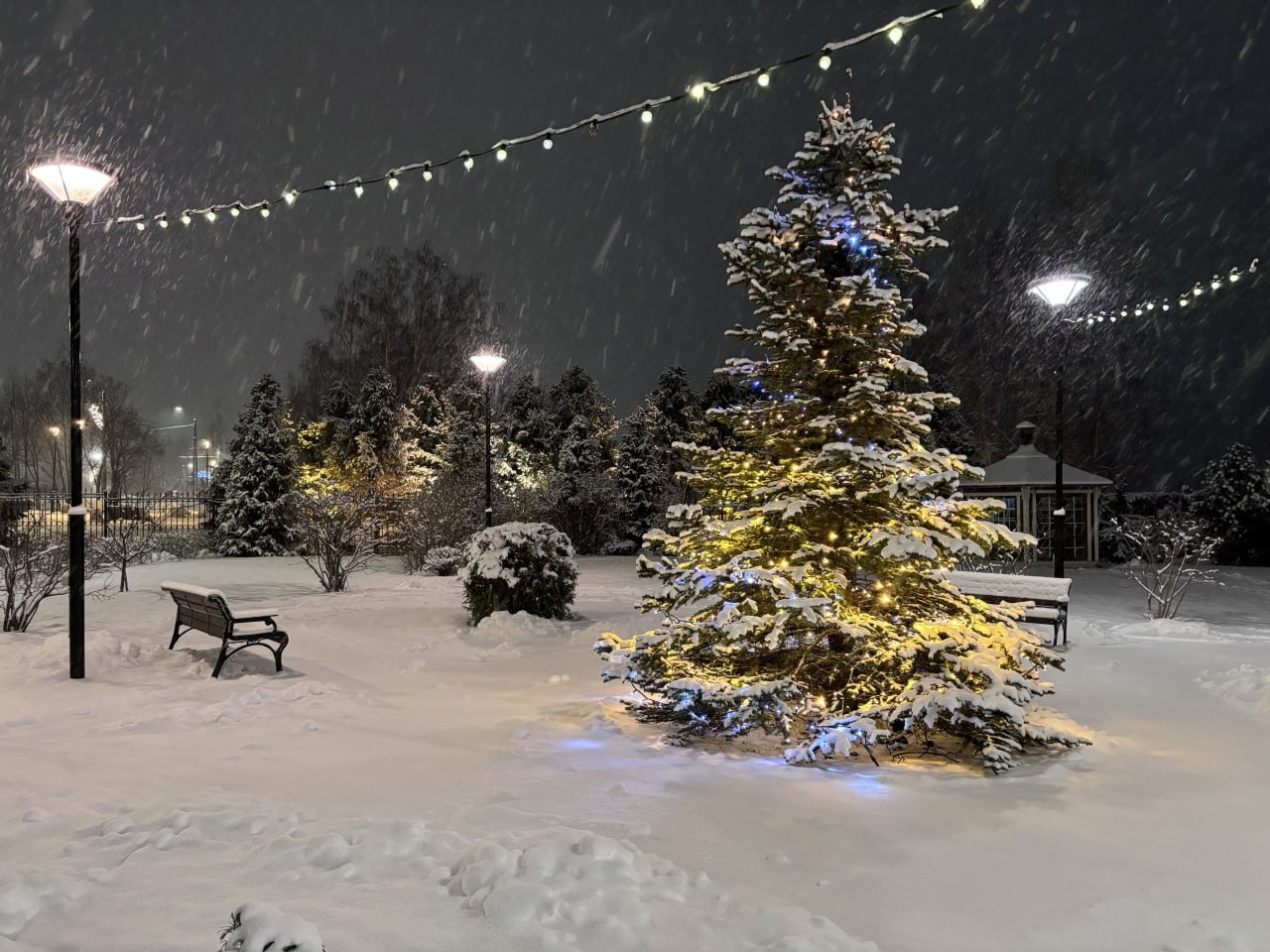 «Волшебный свет» зажег Петрозаводск: названы все победители конкурса иллюминации