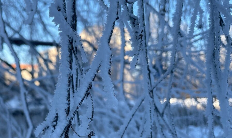 Стало известно, какой город Карелии стал самым холодным в последний день января