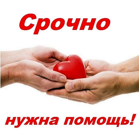 Семья с детьми осталась зимой без крова: нужна срочная помощь