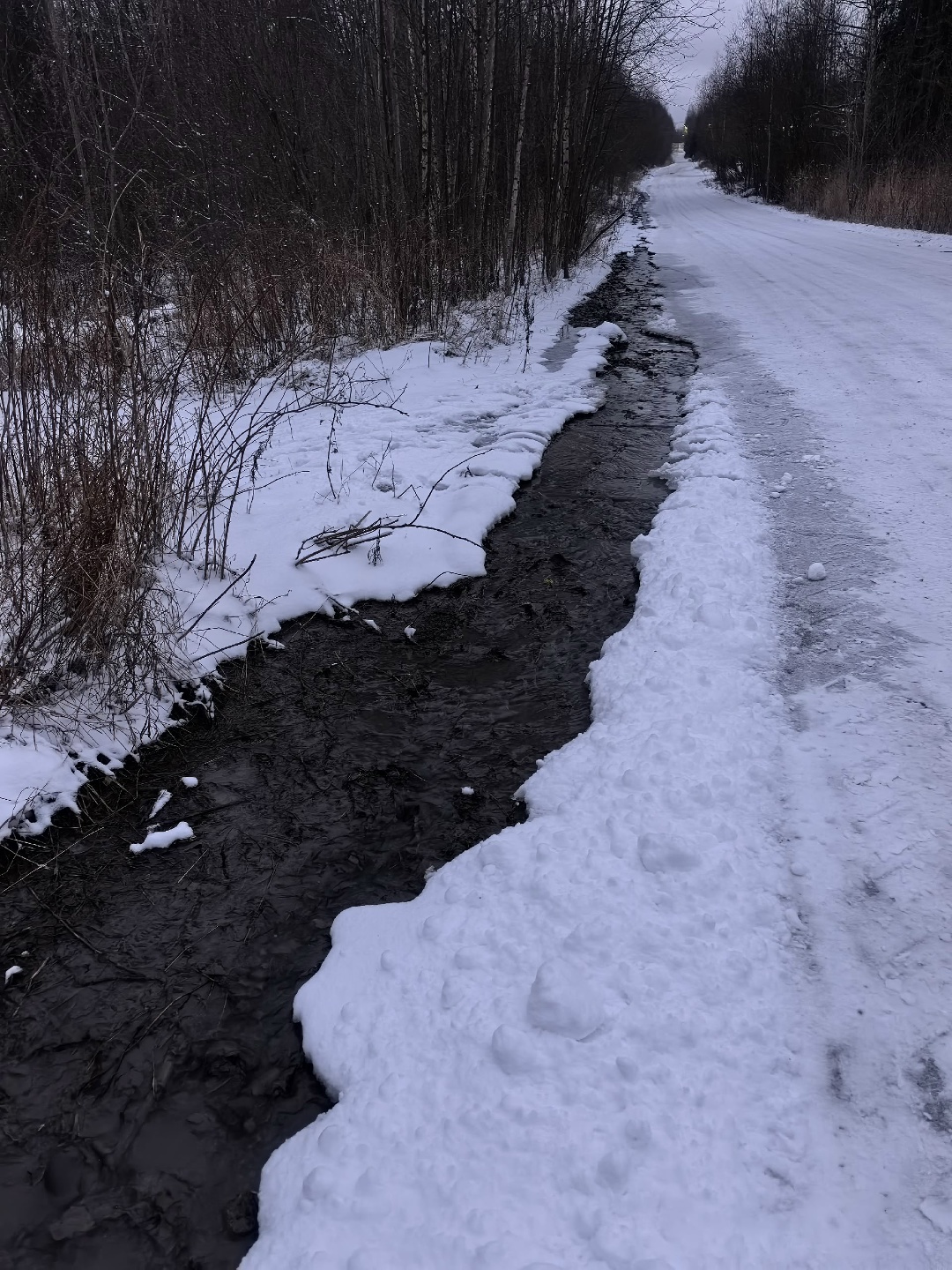 Зловонные стоки больше месяца стекают в Онежское озеро