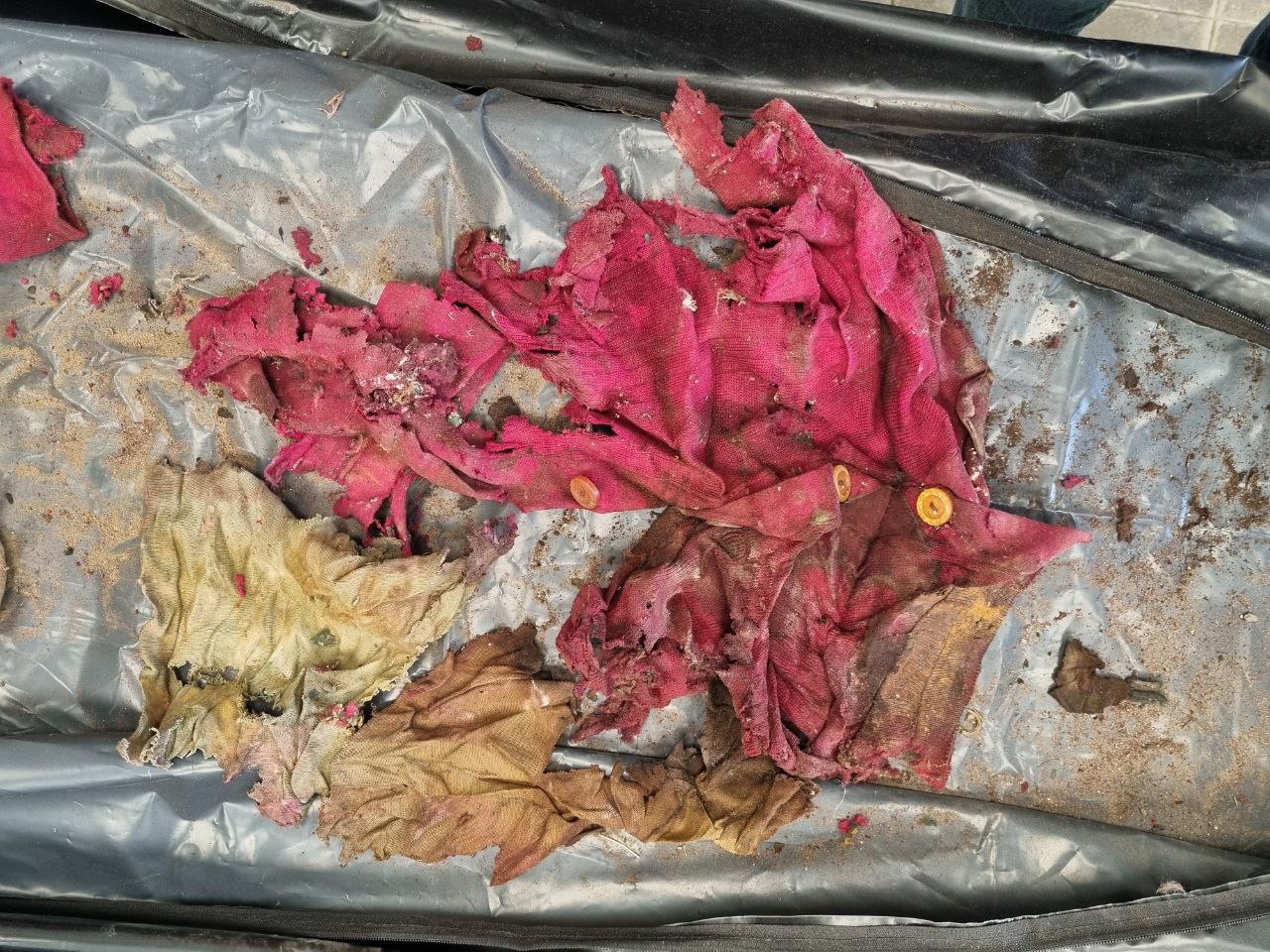 Полиция Беломорска просит помощи в опознании женщины