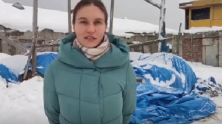 Минсельхоз Карелии прокомментировал ситуацию с вмерзшими в снег трупами животных в Заозерье