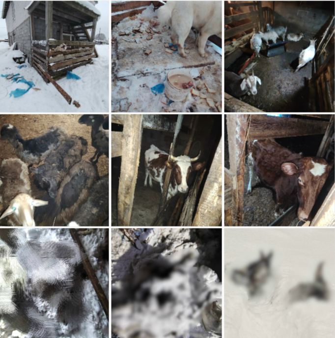 Депутаты направили обращение в Следком России после жуткой находки в Заозерье